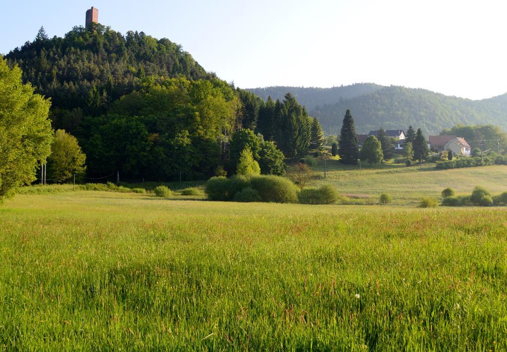 Le Gite De L'Ecureuil Sturzelbronn Εξωτερικό φωτογραφία