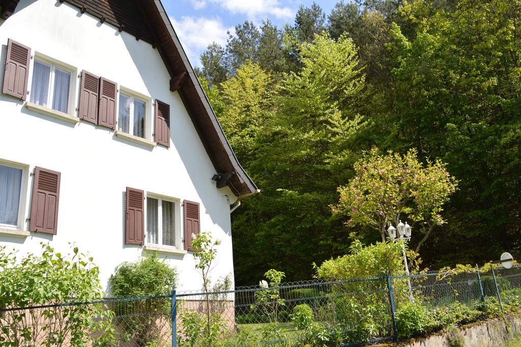 Le Gite De L'Ecureuil Sturzelbronn Εξωτερικό φωτογραφία